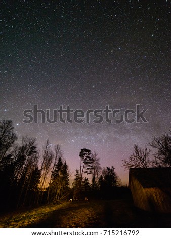night sky with stars in the winter night with trees and milky way