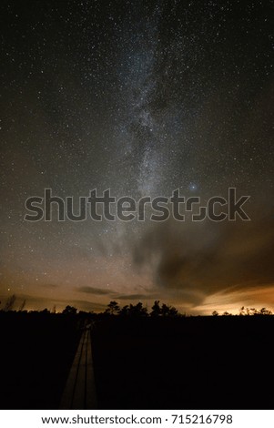 colorful milky way galaxy seen in night sky over dark trees on the horizon