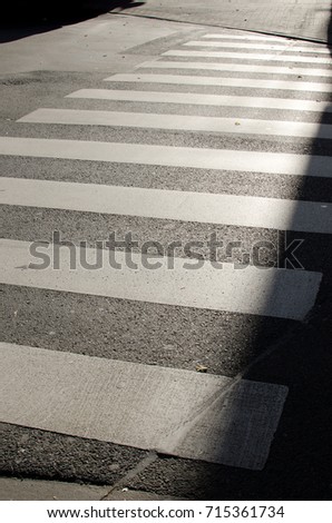 Asphalt road with white zebra crossing	
