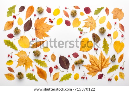 Autumn frame made of leaves and acorns on white background, copy space. Flat lay, top view.