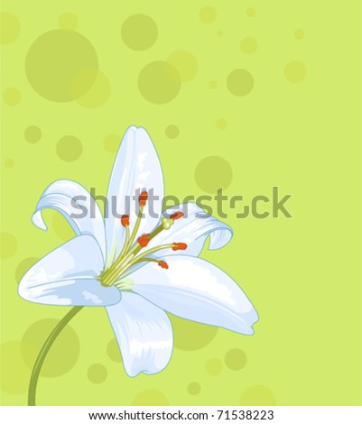 Beautiful lily seamless card