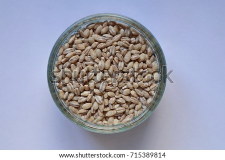Pearl barley in glass jar