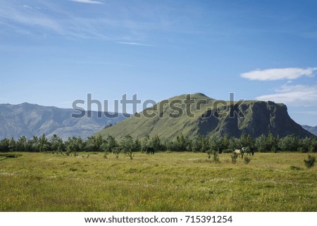 Picturesque landscape view on grazing horses on the field near the mountain in Hvolsvöllur. Iceland. Backgrounds.