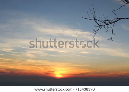 sun tree and sky