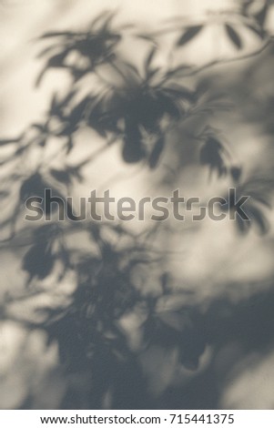 Shadows from the trees falling on the fence, nature background