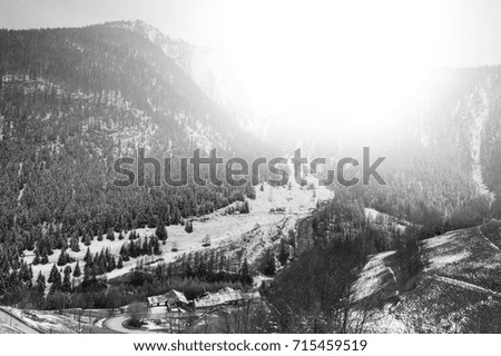 Morning mist in Italian Alps. View of the mountain forest valley at sunrise. Black and white picture 