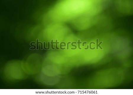 Green bokeh background in the forest
