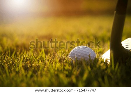 The golf ball and golf club with the warm light of the evening.
