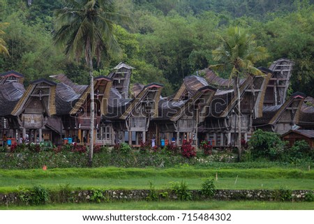 Traditioanl saddleback roof tongkonan houses of Tana Toraja in South Sulawesi, Indonesia
