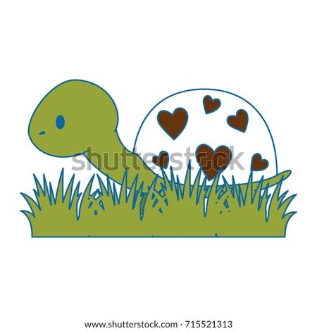 cute turtle in grass