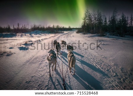 A team of six husky sled dogs running on a snowy wilderness road in the Canadian north under the aurora borealis and moonlight. Royalty-Free Stock Photo #715528468