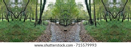 symmetrical road photography in the forest, A walk in the woods in autumn , with the ground full of leaves, Galicia, Spain,