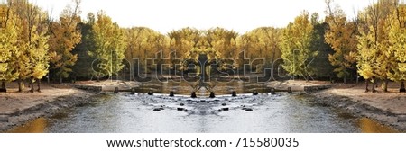 symmetrical photography of trees in autumn, Autumn landscape, Alberche river,  Navaluenga, Ávila, España,