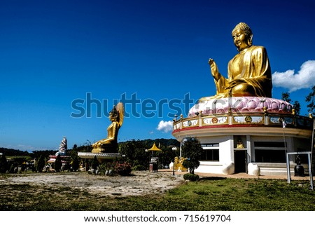 Gold Buddha statue on the lotus