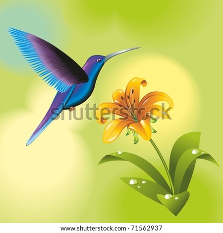 Humming-bird with a flower. Vector illustration.