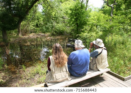 three people watching birds in wetland forest from bench and boardwalk, one making pictures, one looking through binoculair, women just watching the scenery