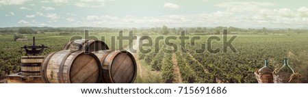 Wide panorama of agricultural landscape - vineyards, wine bottles and old wooden barrels. Countryside of France for your background of Festival of young wine Beaujolais. Royalty-Free Stock Photo #715691686
