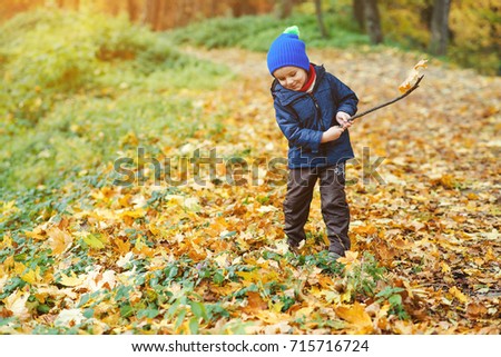 Cute happy boy playing with fallen leaves in a autumn forest.