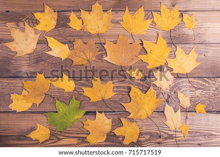 Autumn leaves on the rustic wooden background.