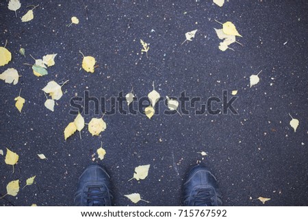 Concept walks in autumn