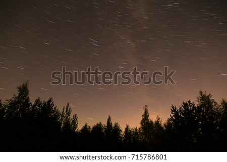 Night sky star trails behind forest