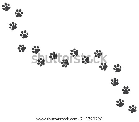 Vector illustration of a Footpath trail of vector dog prints walking randomly 