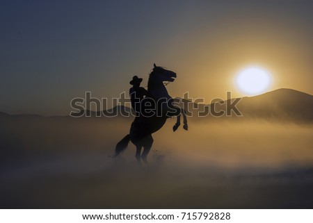 Cowboy silhouette on a horse during nice sunset and rear up