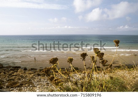 A coastal grass field with a cantabrian sea beach in a summer afternoon. Picture with plenty of empty space for writing.