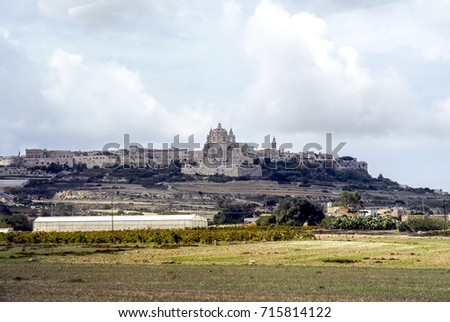 View of Mdina,the ancient capital of Malta,2010.