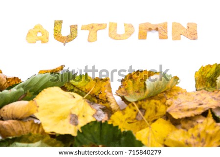 Frame of autumn withering yellow leaves isolated on white background