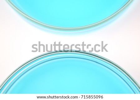 Abstract of petri dishes containing copper sulfate solution on white background