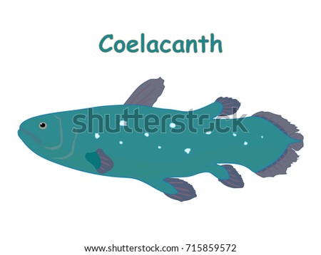 Fish vector cartoon illustration t shirt design for kids with aquatic animal coelacanth fish isolated on white background, design for introduction of different types of fish for your children