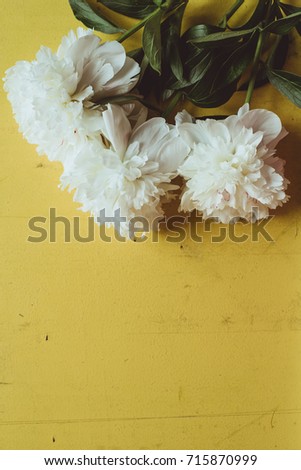 Lone beige white peony on old painted yellow wood grunge background texture.. Flat lay, top view with copy space