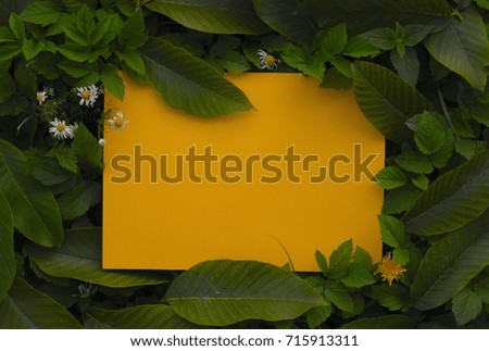 Creative layout made of flowers and leaves with paper card note