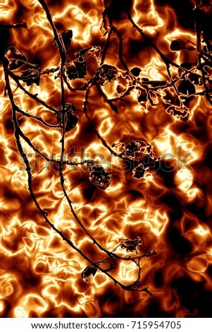 Fire in the nature