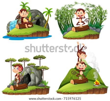 Four scenes with monkey in forest illustration