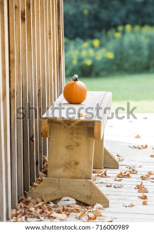 Small pumpkin and autumn leaves sitting on rustic light wooden bench outside of wood building. Natural light and garden 