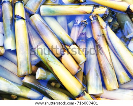 texture of Wild bamboo shoot in water for clean and buy.