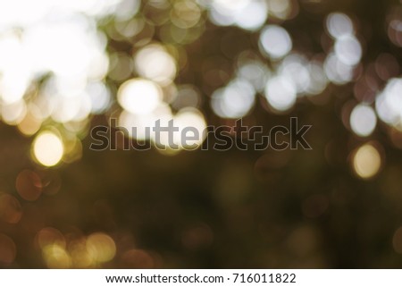 blurry bokeh from sun light and leaves on tree for abstract background, filtered tones
