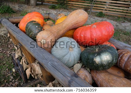 Wooden cart with wheels filled with colorful pumpkins 