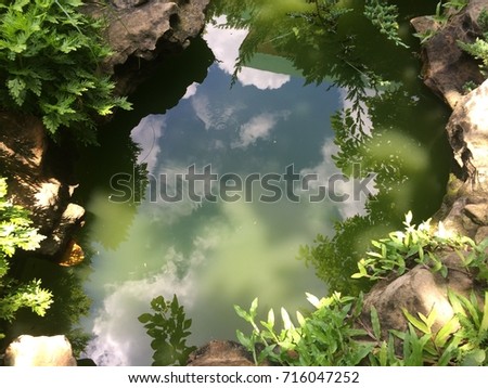 Small pond in the garden on summer