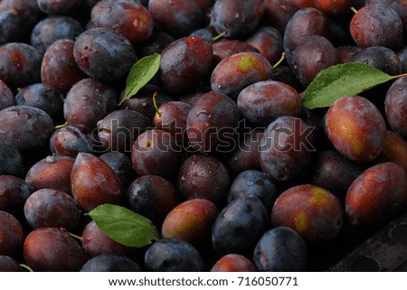 harvest of local fruits, plums background