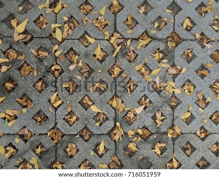 Background of brick-shaped floor with fall foliages.