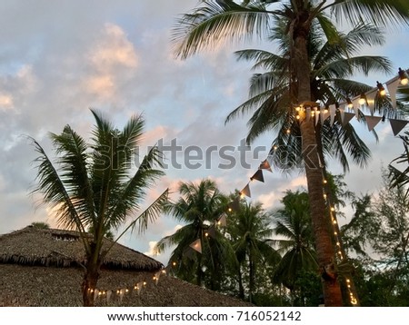 Coconut Palm Tree with Ornamental Light in the Early Evening Beautiful Twilight Sky  Royalty-Free Stock Photo #716052142