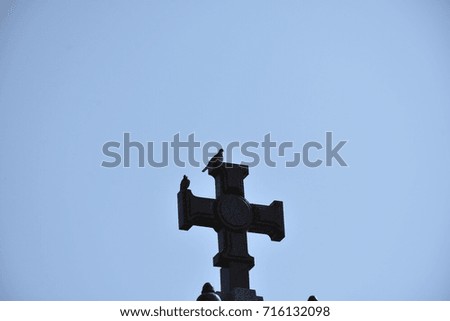pigeons on the cross,