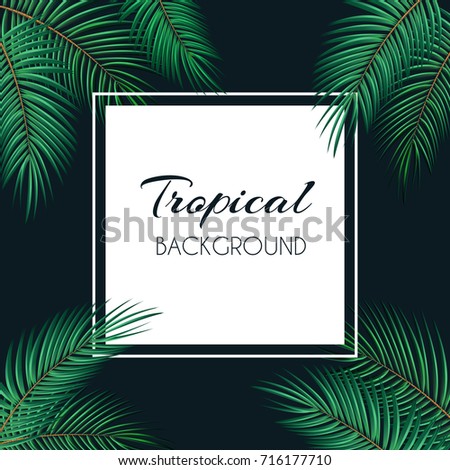 Palm Leaf Vector Background  with White Frame Illustration EPS10