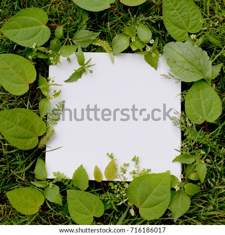 white sheet of paper on the background of the grass
