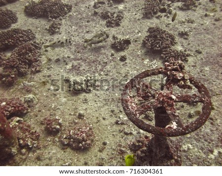 A corroded wheel on a sunken ship.