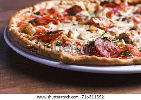 The fresh baked pizza with salami on the wooden background