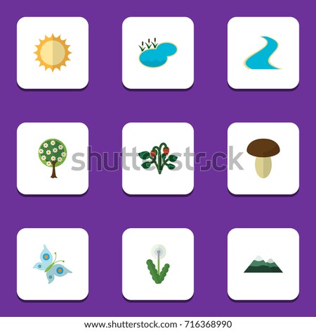 Flat Icon Ecology Set Of Floral, Champignon, Tree And Other Vector Objects. Also Includes Sun, Dandelion, Butterfly Elements.